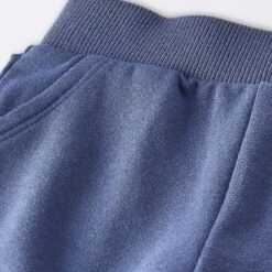 Baby Boys' 2pc Fox Applique Sweatshirt & Shorts Set - Cloud Island™ Navy Blue -CloudIsland Sales Store GUEST 68f55a48 87cc 4a4d aa16 d748ea01acfd