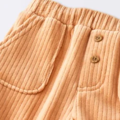 Baby Boys' 2pc Fox Sweatshirt & Corduroy Pants Set - Cloud Island™ Navy Blue -CloudIsland Sales Store GUEST 7d0b53b1 b30a 4baf a600 eccf517e4a3e